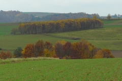 P1050920