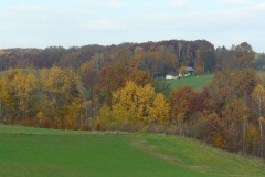 P1050924