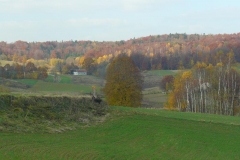 P1050925