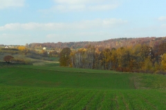 P1050928