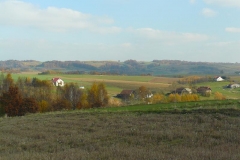 P1050929