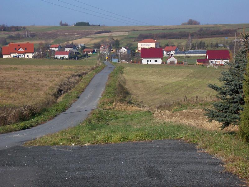 jes10 039