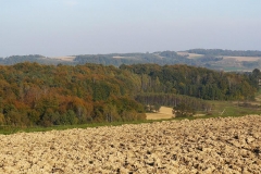 P1070170