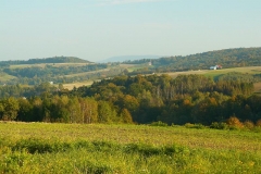 P1070194