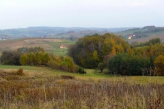 P1070266