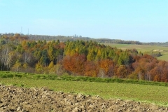 P1070292