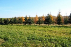 jes10 043
