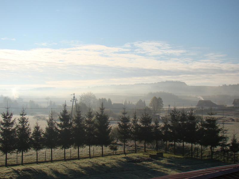 DSC04991