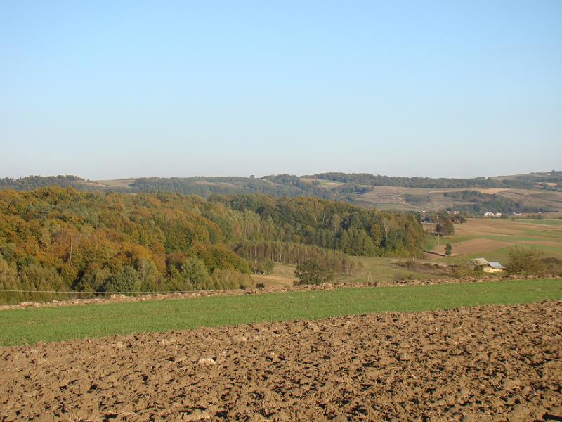 DSC04996