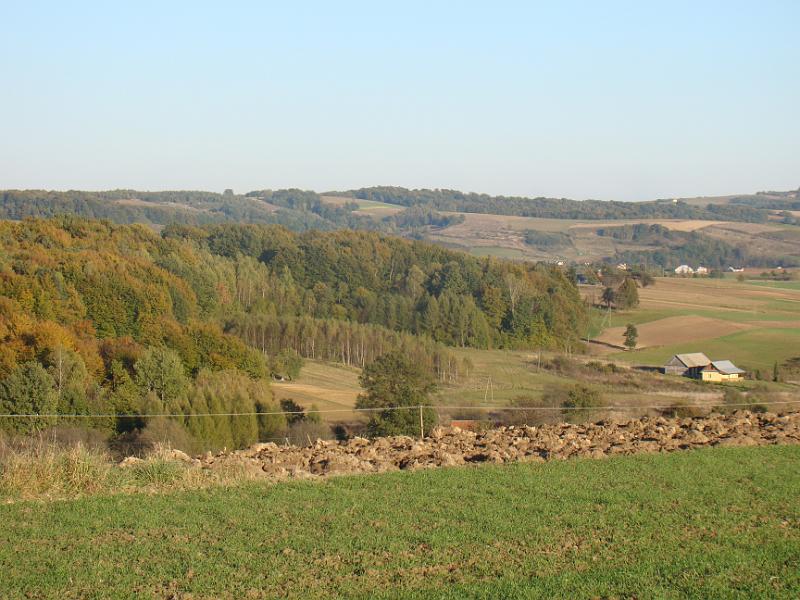 DSC04997