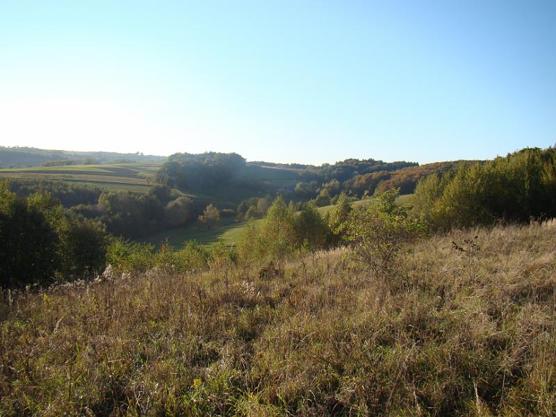 DSC04999