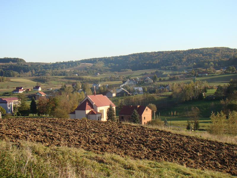 DSC05005