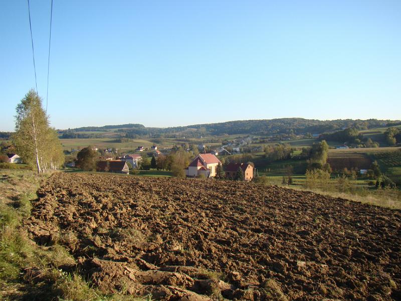 DSC05006
