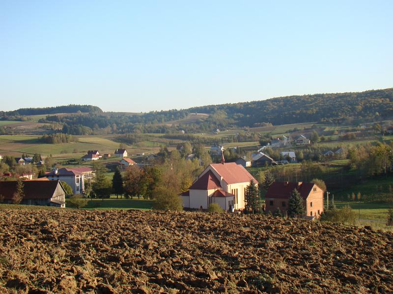 DSC05008