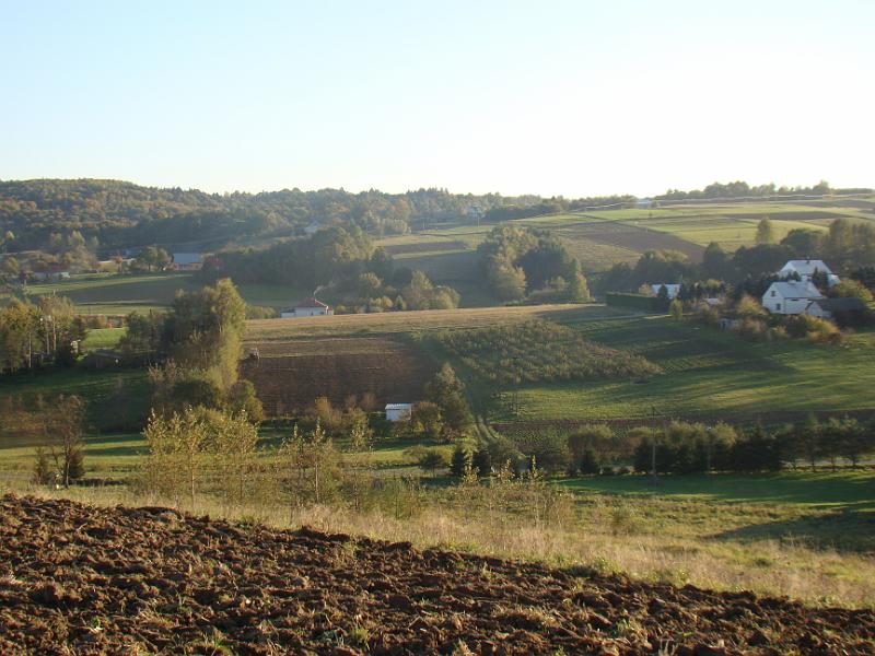 DSC05009
