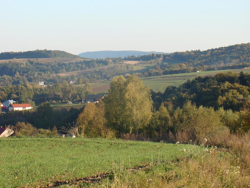 DSC05015
