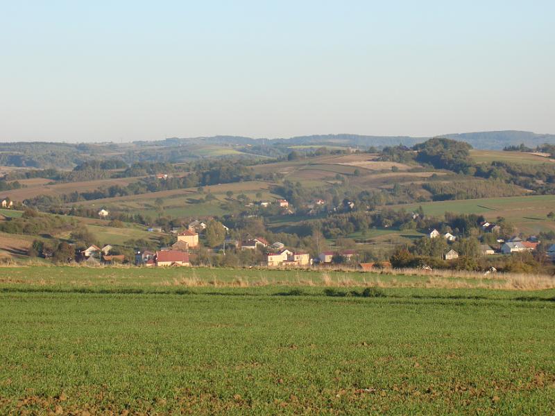 DSC05017