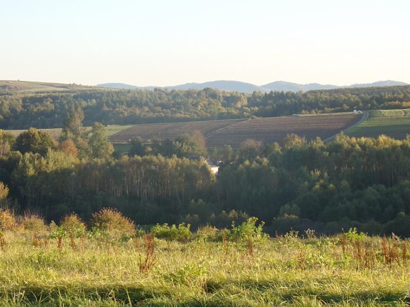 DSC05022