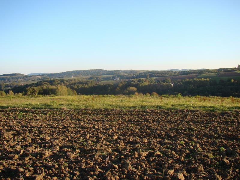 DSC05023
