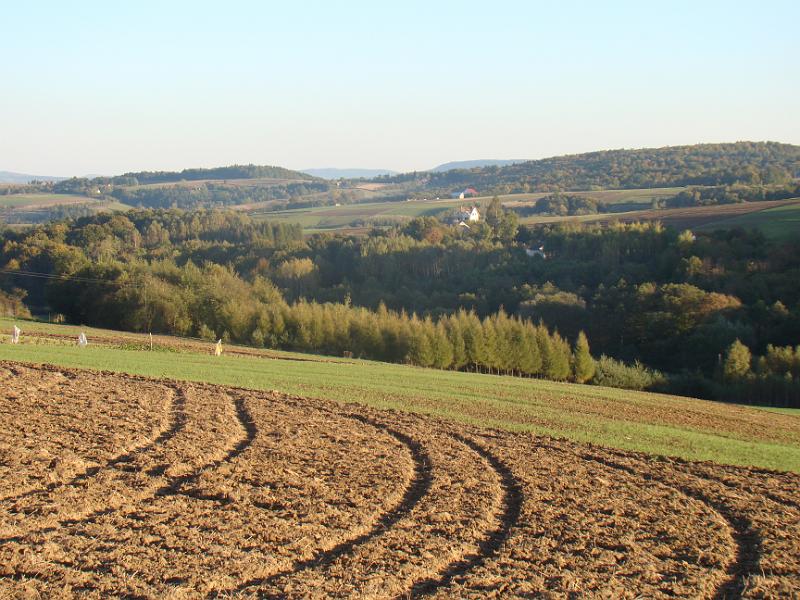 DSC05025