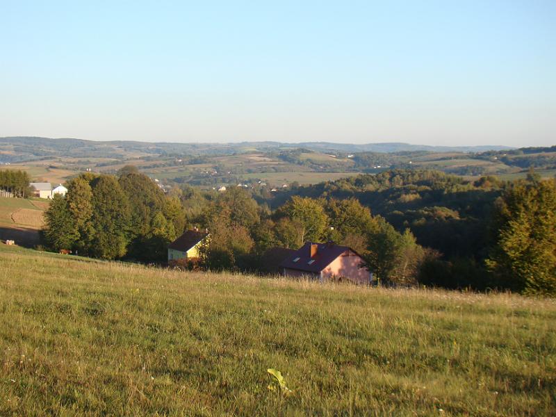 DSC05029