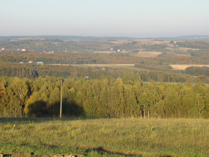 DSC05033