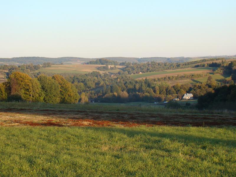 DSC05052