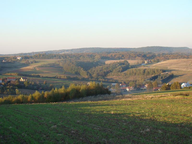 DSC05054