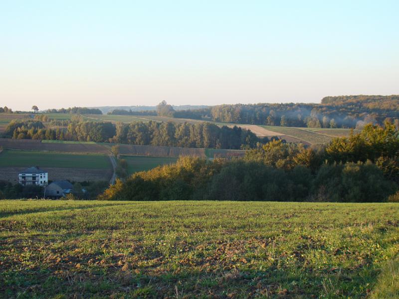 DSC05055