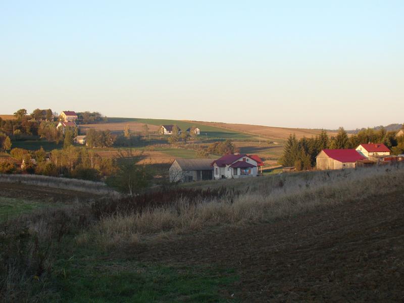 DSC05056