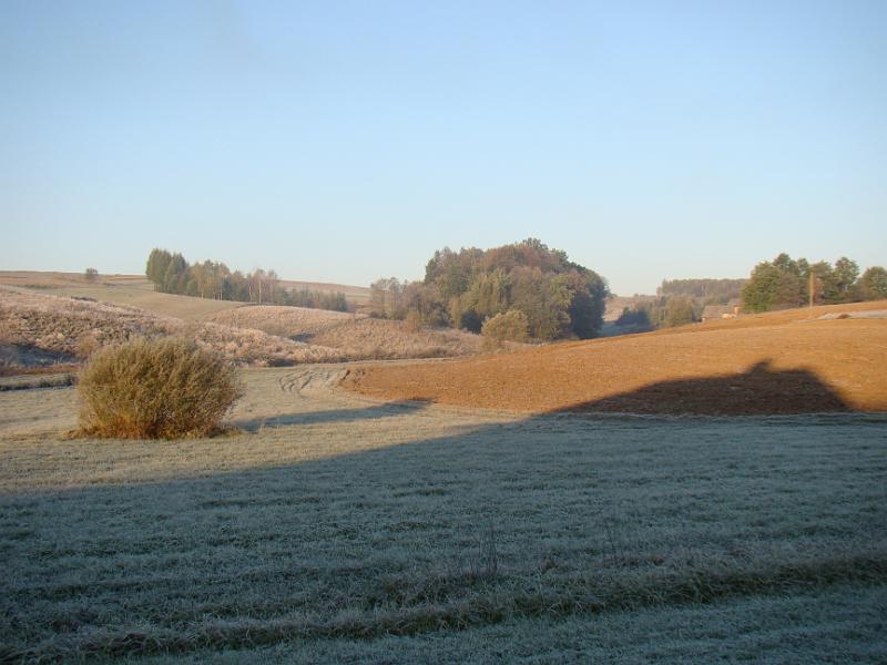 DSC05075