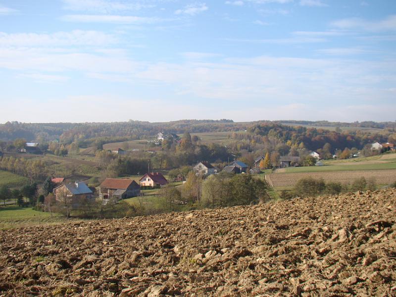 DSC05081