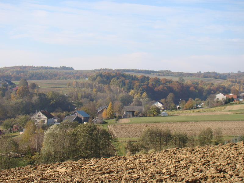 DSC05084
