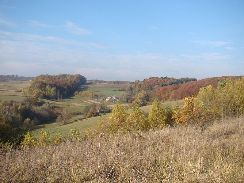 DSC05085