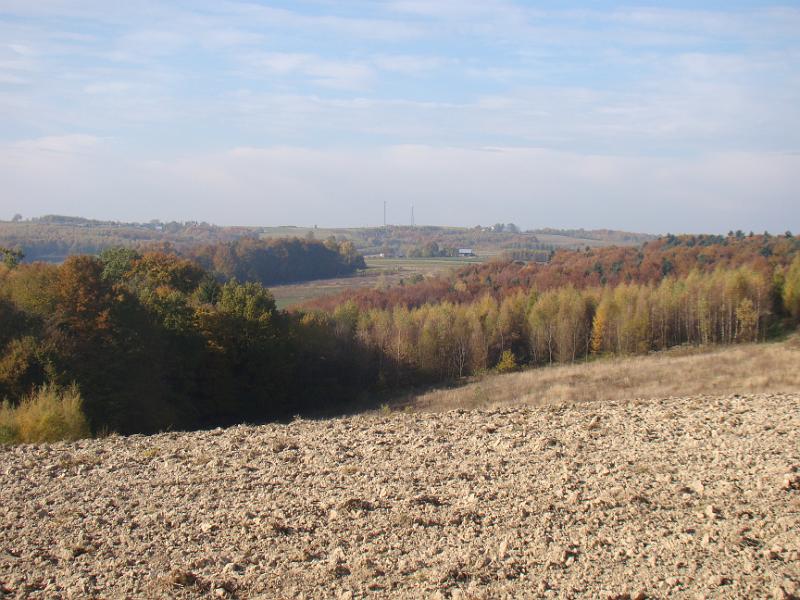 DSC05089