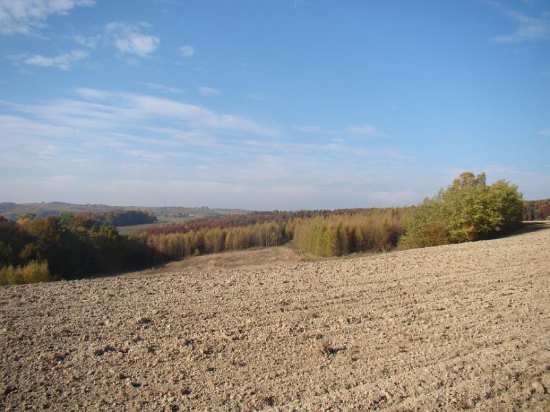 DSC05090