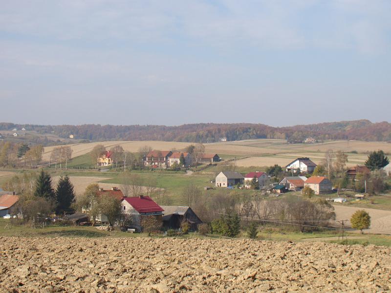 DSC05094