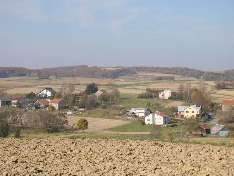 DSC05095
