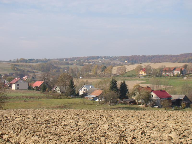 DSC05101