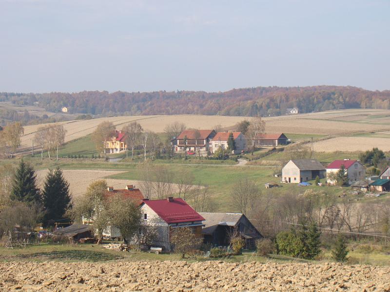 DSC05103