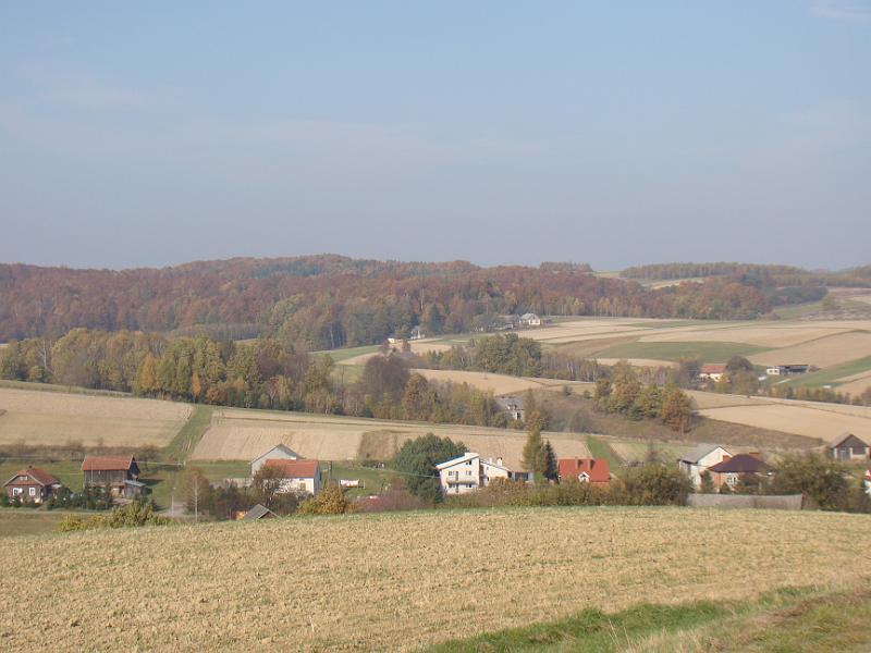 DSC05104