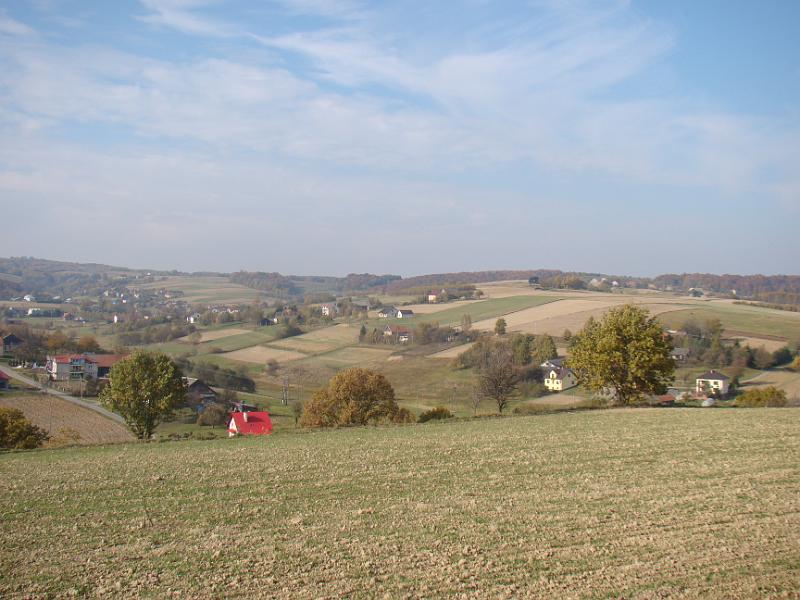 DSC05106