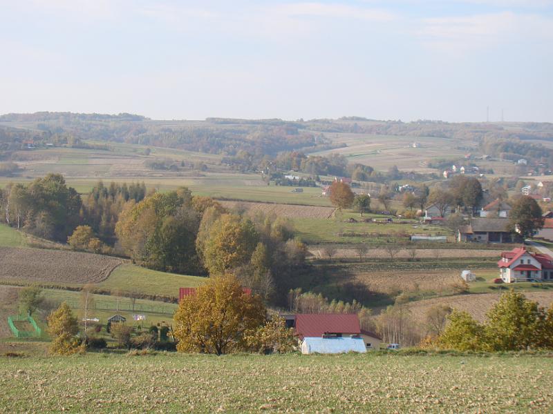 DSC05107
