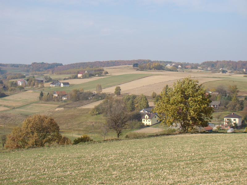 DSC05110