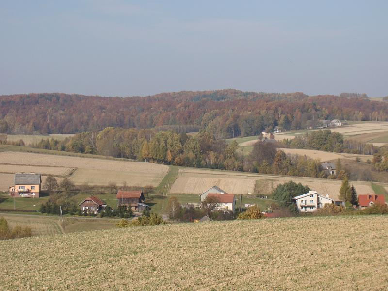 DSC05112