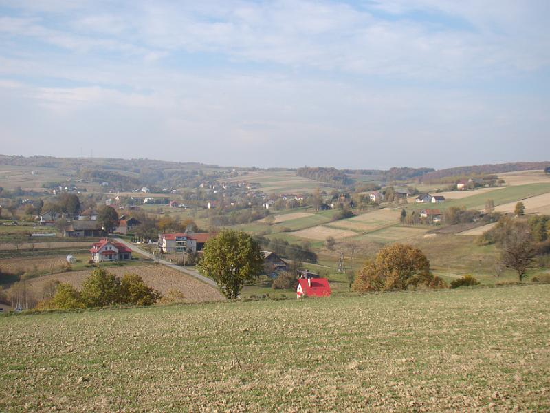 DSC05113
