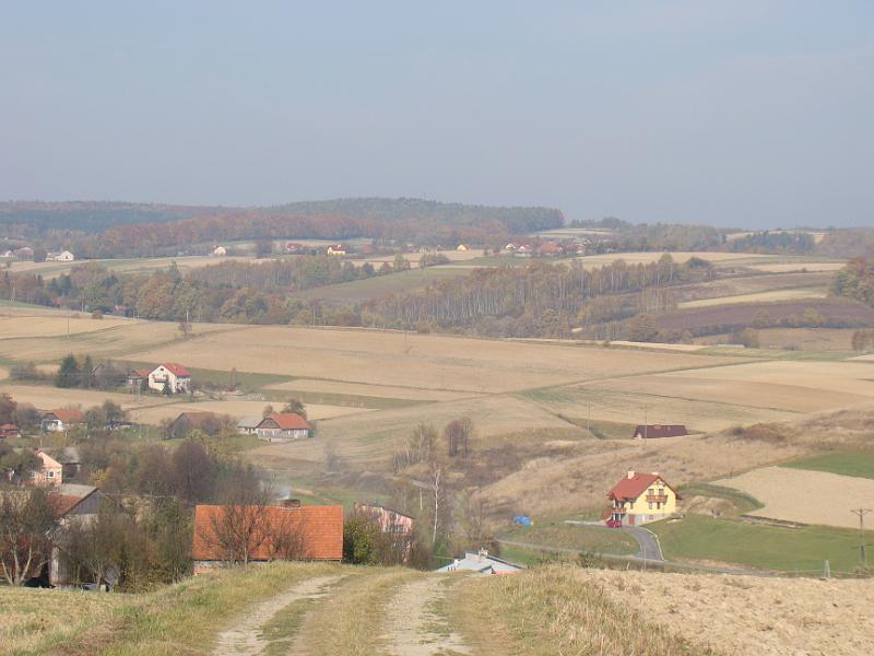 DSC05115