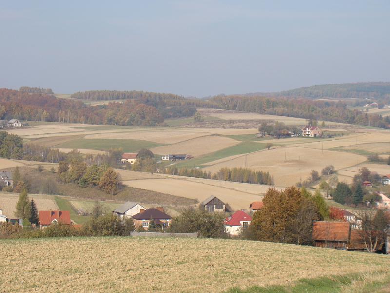 DSC05116
