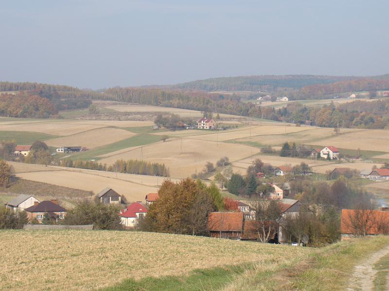 DSC05117