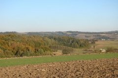 DSC04996